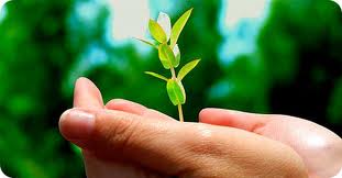 THÔNG BÁO GIAO DỊCH VÀ BÁO CÁO KẾT QUẢ GIAO DỊCH CỔ PHIẾU VAB